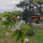 Nad Zalewem * Nowe Miasto (Plonsk)