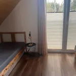Nad Zalewem Nowe Miasto (Plonsk)