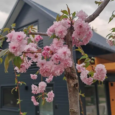 Vakantiehuis Nad Zalewem