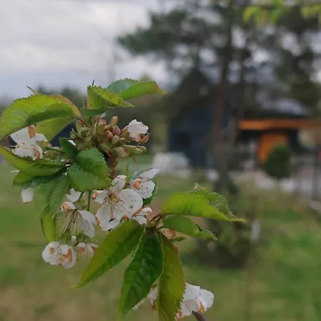 Nad Zalewem * Nowe Miasto (Plonsk)