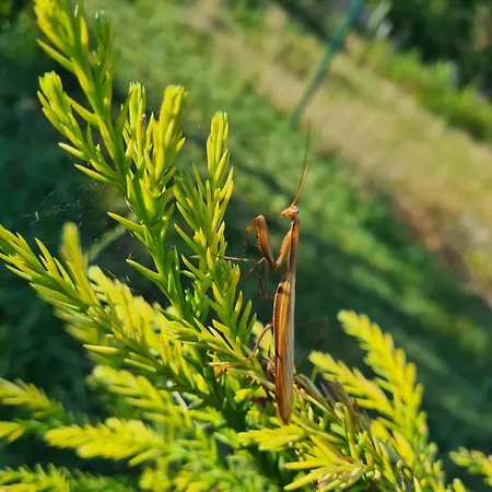 Nad Zalewem Nowe Miasto (Plonsk)