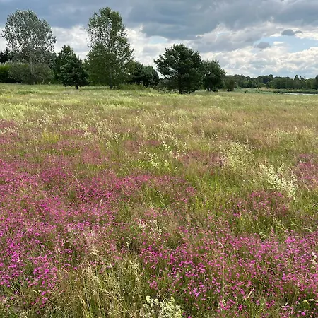 Vakantiehuis Nad Zalewem *