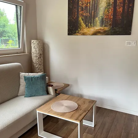 Nad Zalewem Nowe Miasto (Plonsk)