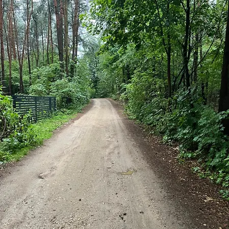 Nad Zalewem * Nowe Miasto (Plonsk)