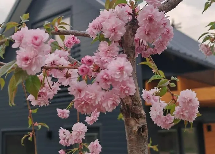 Prázdninový dům Nad Zalewem