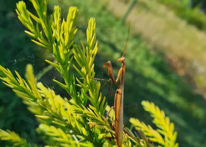 Nad Zalewem Nowe Miasto (Plonsk)