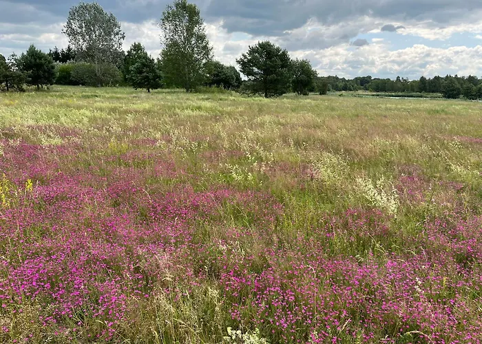 Prázdninový dům Nad Zalewem *