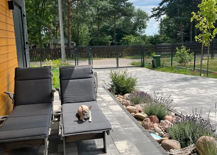 Nad Zalewem * Nowe Miasto (Plonsk)