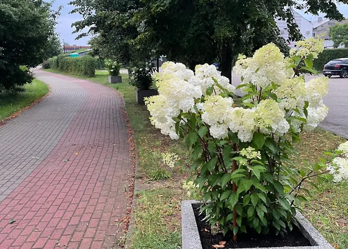 Nad Zalewem Prázdninový dům