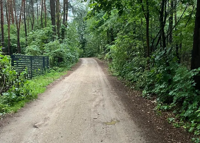 Nad Zalewem * Nowe Miasto (Plonsk)